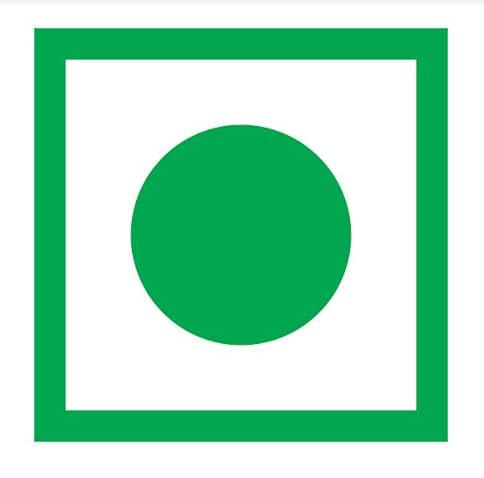 Avlokan Avlokan Winter Pine Nuts A Grade Chilgoza With shell Exotic Dry Fruits (50gm)