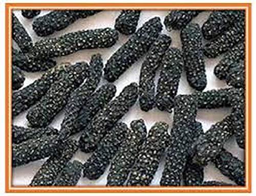 vinarghya vinarghya Badi Pipali/Lendi Pipal/Lindi Pimpli/Long Pepper/Piper / 100g
