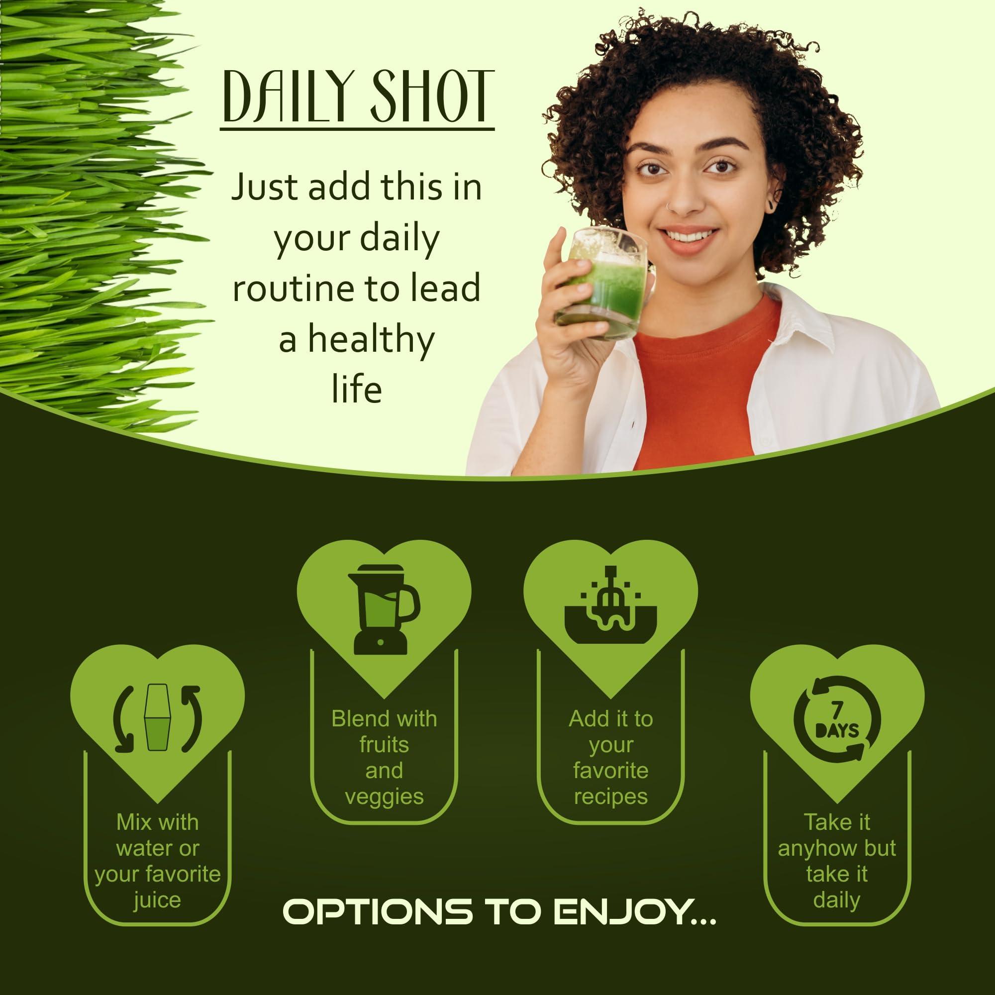 IYUSH Herbal Ayurveda IYUSH Herbal Ayurveda Wheat Grass Powder - 500gm (Rich in Chlorophyll, Antioxidants, Fatty Acids, Fibers and Minerals)