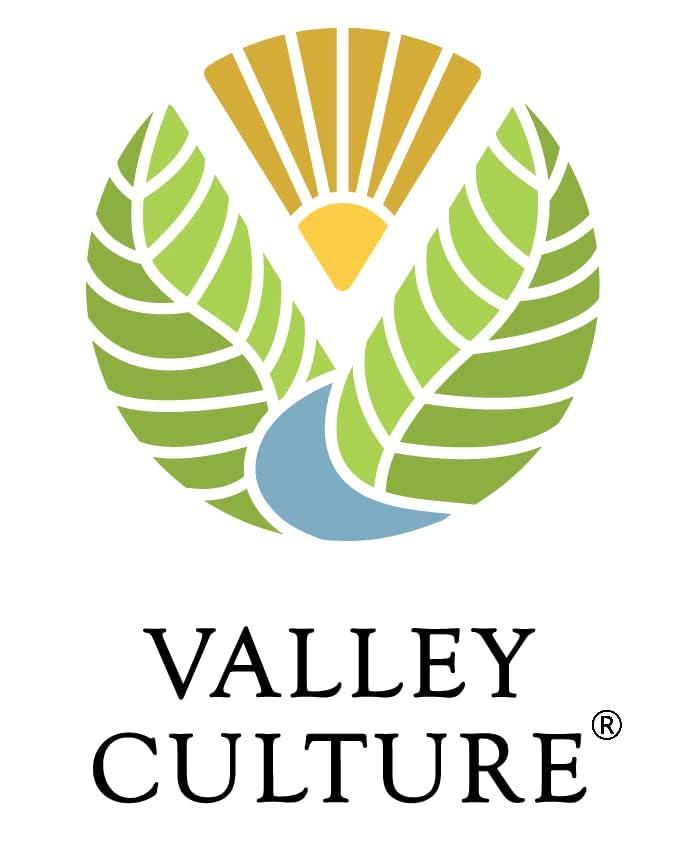 Promifun Promifun Bunion Cushions and Protectors, 12 Pieces of Bunion Pads and Cushions, Bunion Corrector for Big Toe, Relieve Foot Pain from Friction, Rubbing and Pressure