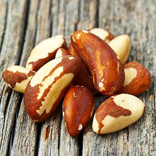 NUTTY YOGI Nutty Yogi Brazil Nuts 200g Pack, Rich in Iron, Calcium zinc and Above All Selenium, Boost Immunity and Feed The Brain | Jumbo Brazil Nuts | Dry Fruits
