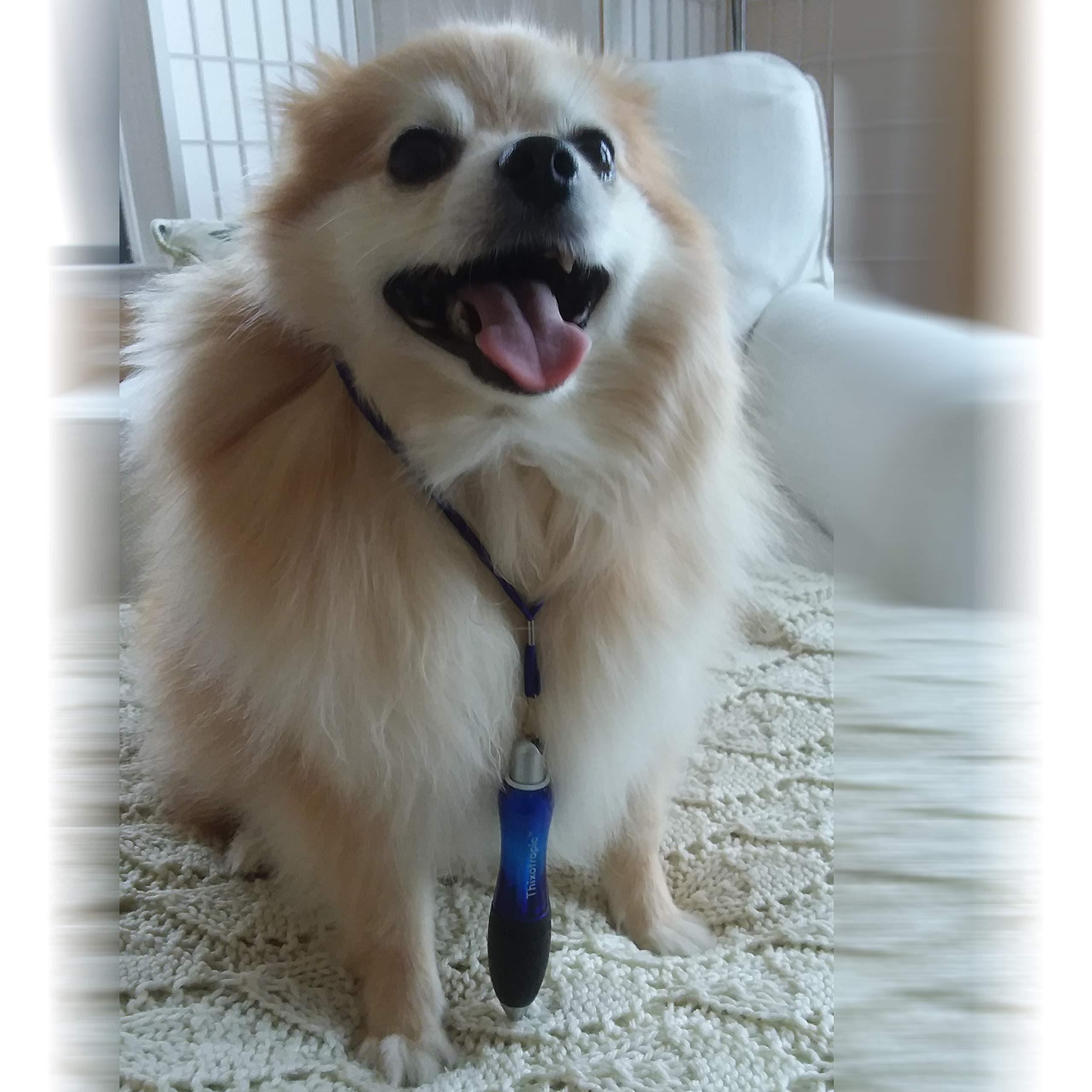 china Super Big Fat Pens for Arthritis and Hand Pain (5 pack)