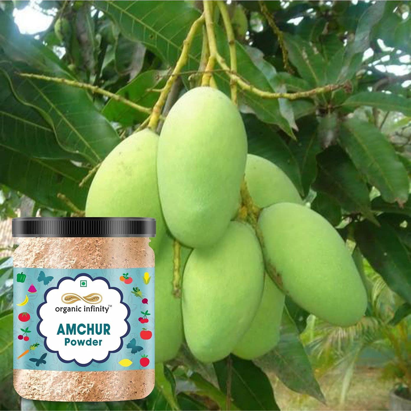 organic infinity Organic Infinity Amchur Powder | Dry Mango Powder | Aam Powder - 500 GM X 2 = 1 KG by Organic Infinity