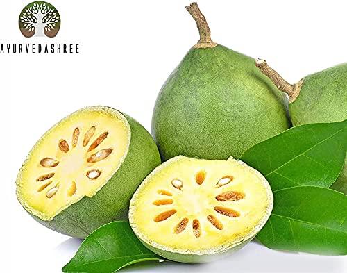 AYURVEDASHREE AYURVEDASHREE Bilva Powder - Bael Leaves Powder - Aegle marmelos - 200 Gm - Supports Proper Function of The Bowels