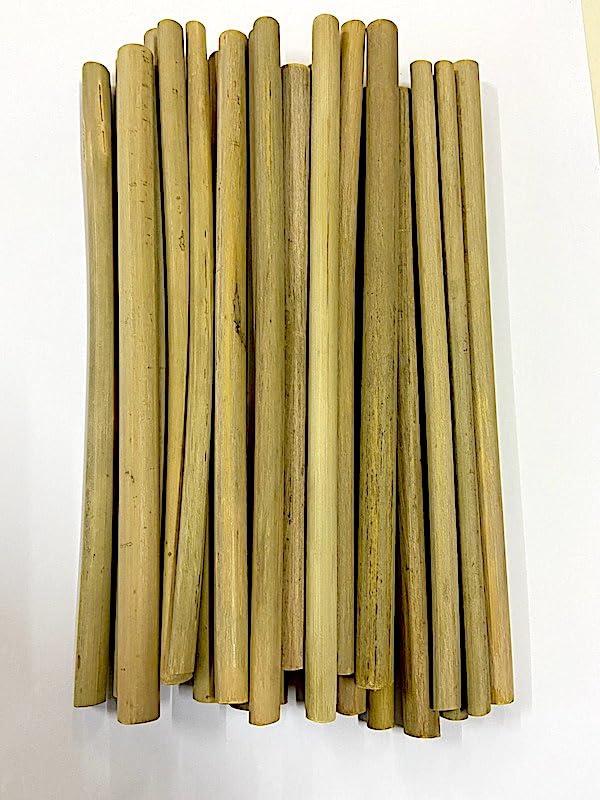TUGS TUGS Bamboo Grass Straws Pack of 25 Natural Eco Friendly Biodegradable Drinking Straws with Straw Cleaning Brush - Reusable. (TUGS-9x11-25)