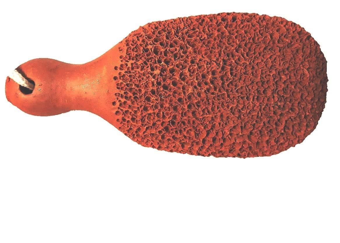 Turtuls Group Turtuls Group Terracotta Natural Pumice Stone Feet Scrubber Set of-2