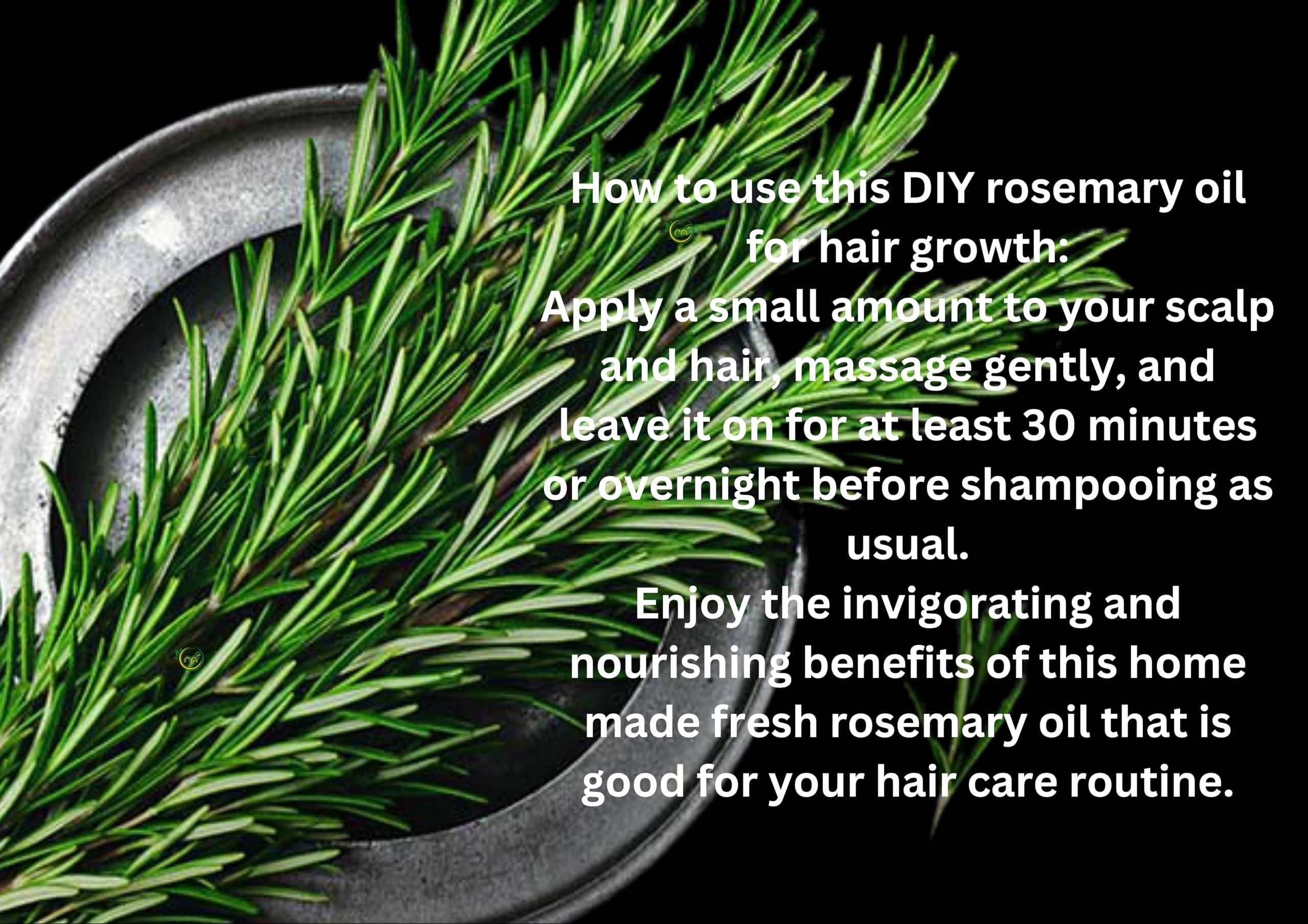 MAF MAF Rosemary Dried Leaves 200 Grams + Free Hair Applicator,Imported Premium Grade Rosemary For Hair Growth,Dry Herb Rosemary Dried Leaf For Seasoning,Herbal Tea,Salads,Soups,Cooking,100% Natural