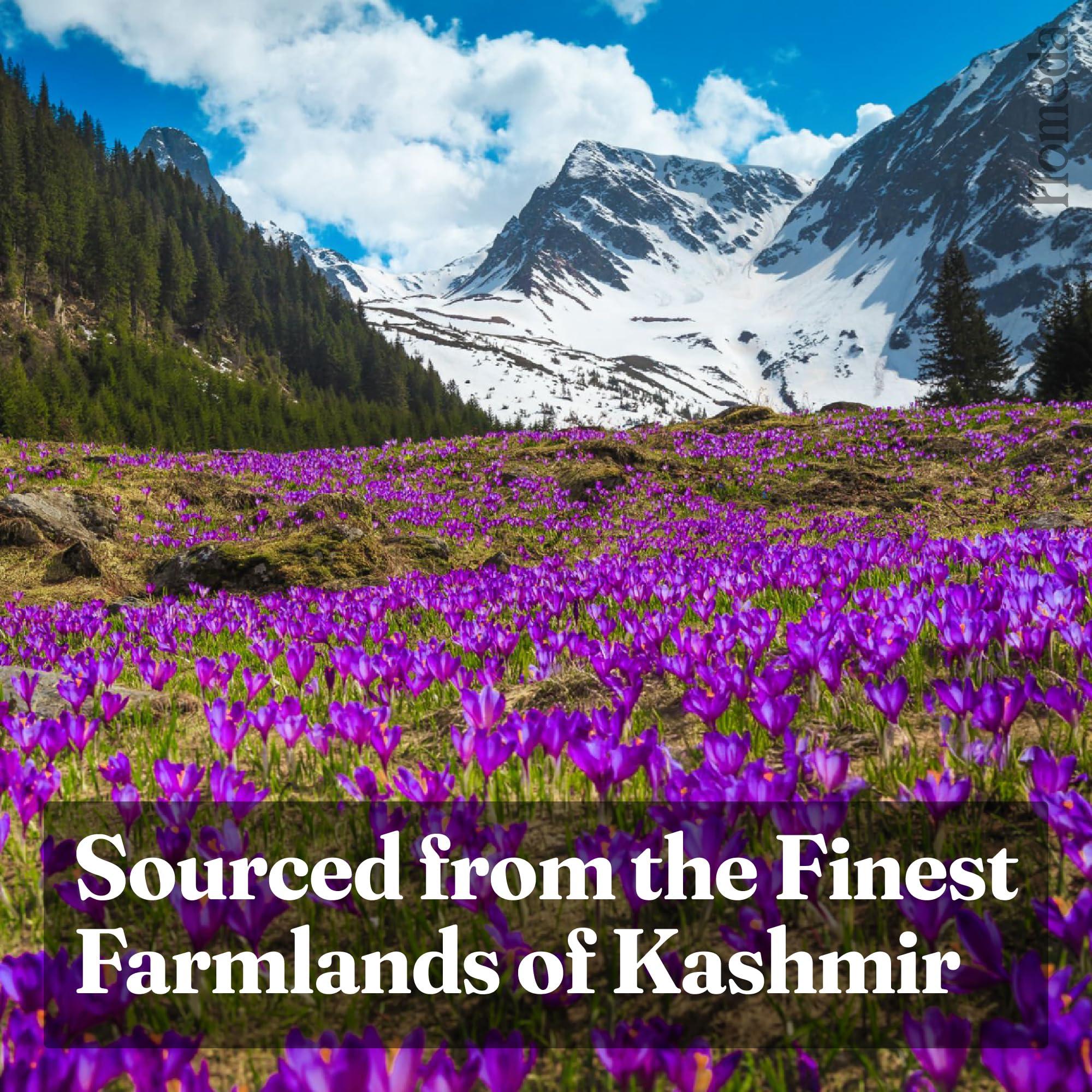 Homeda Homeda Kesar Saffron Original 2G / Pure Saffron Original Kashmiri|Kumkuma Puvvu, Keshar Safron, Kungumapoo For Pregnant Women, Kasar, Kumkumapoovu, Keser, Kaser, Kesor, Grade A (2 Packs Of 1Gm)