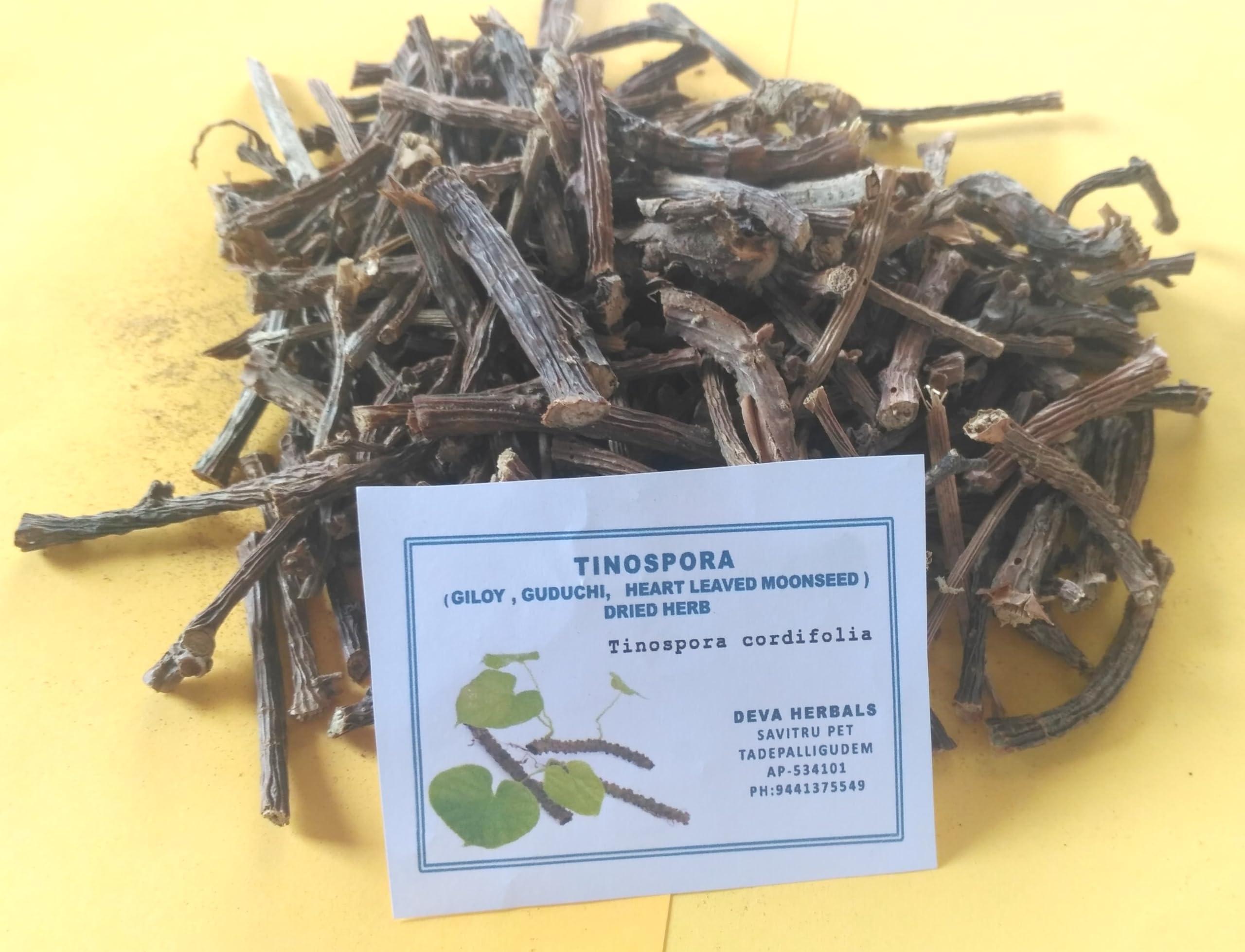 Generic Giloy-Guduchi, Tinospora cordifolia- Heart leaved moonseed Dried Herb (1800 grams)