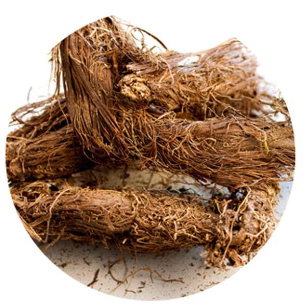 Generic Organic Jatamansi Roots | Pure Jata Mansi Herb | 100% Natural Spikenard | jatamansi | Bal Chad | Musk Root | Nard Indian (Dried) for pooja & Hawan - 50 Grams
