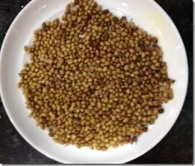 A2 Masala A2 Masala Sabut Dhaniya Coriander Seeds Pack of 1KG