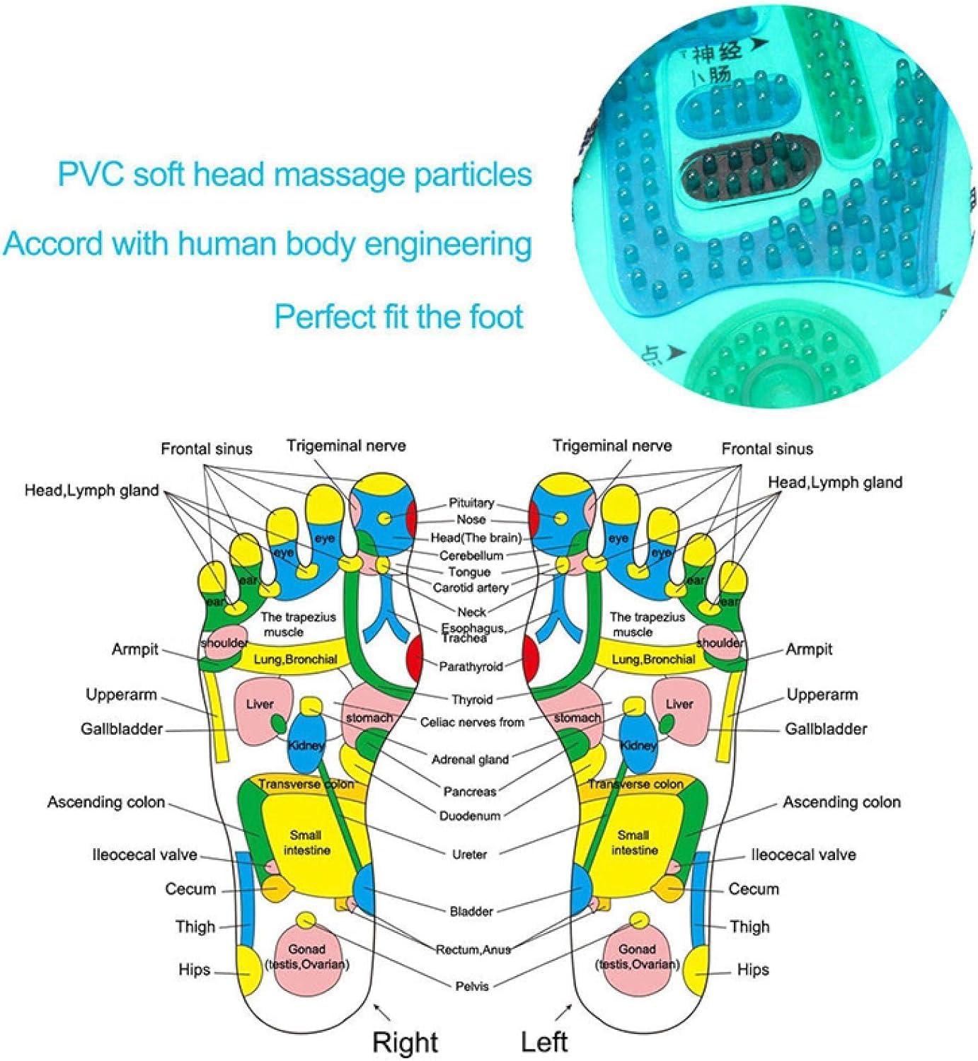 DHAVL DHAVL 1 Pair Acupressure Foot Massage Slippers Acupuncture Acupoint Massage Sandals Shoes Reflexology Health Shoes for men Women Popular in The World