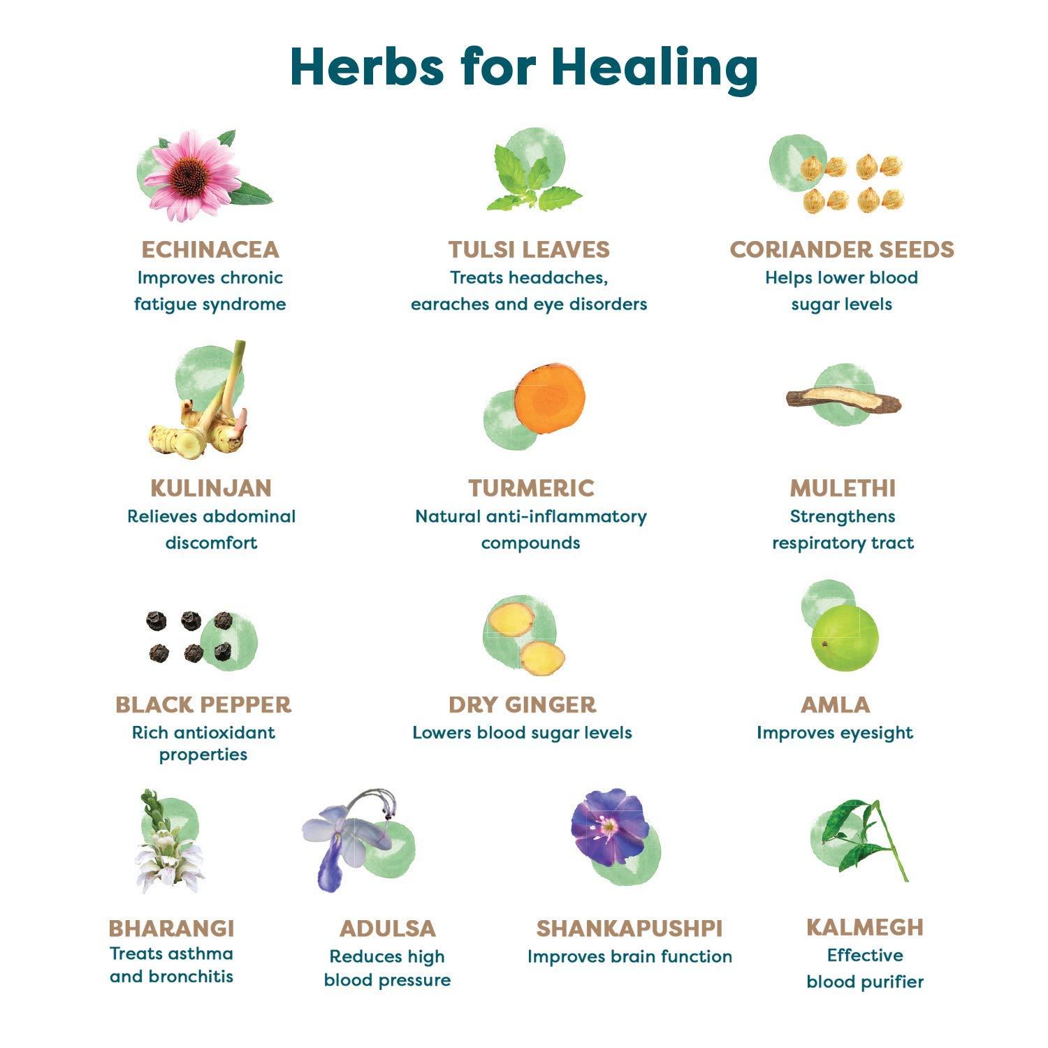 WELLBEING NUTRITION Wellbeing Nutrition Grandma's Kadha -Ayurvedic Natural Immunity Booster | Ayurvedic Kadha for Immunity, Cold, Cough, Sore Throat & Congestion (60 Effervescent Tablets)