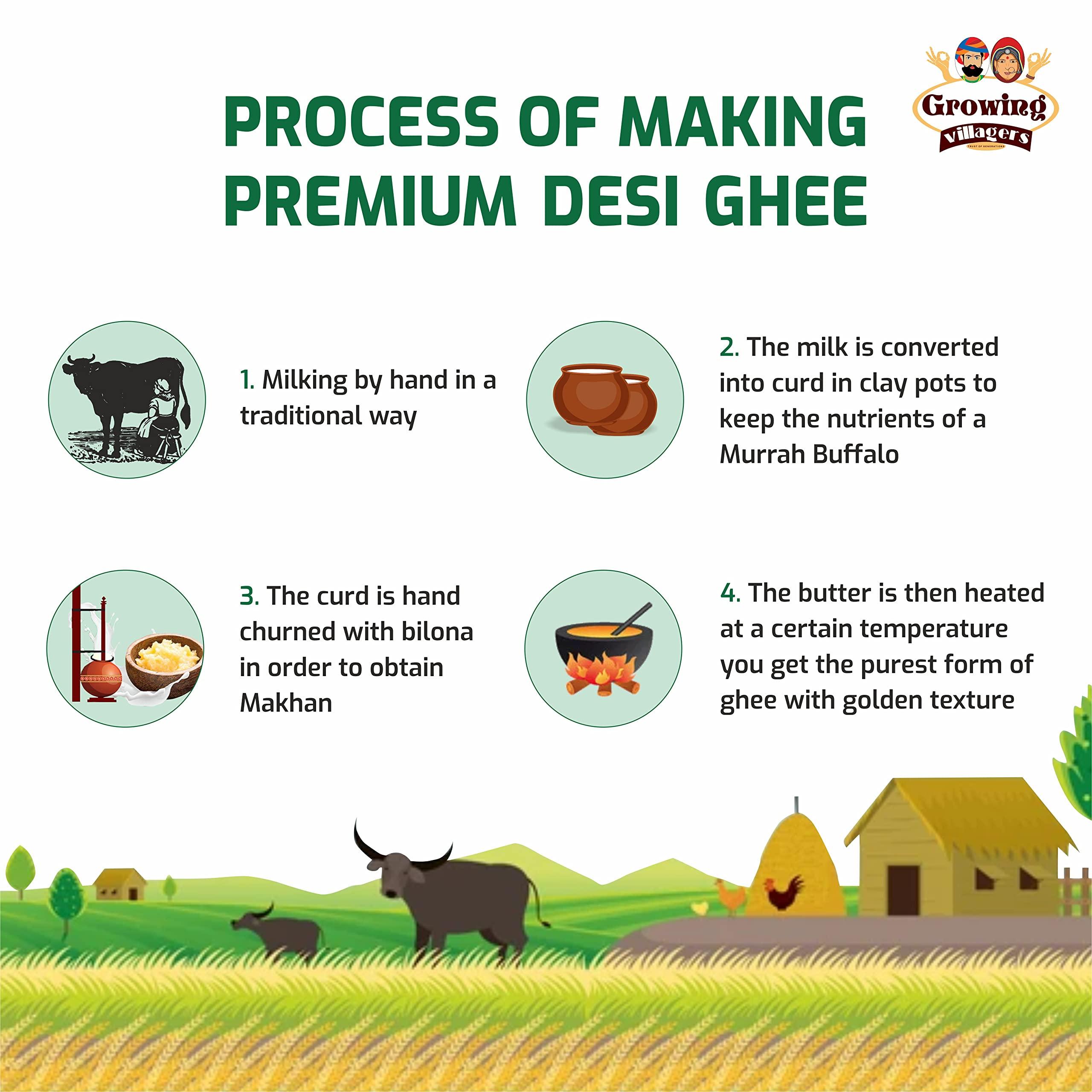 Growing Villagers Growing Villagers A2 Desi Buffalo Ghee 1 Litre | Organic Curd Churned Desi Ghee | Murrah Buffalo Bilona Method Ghee | Homemade Shudh Desi Bhes Ka Ghee - 2 Jars Of 500 ml Each