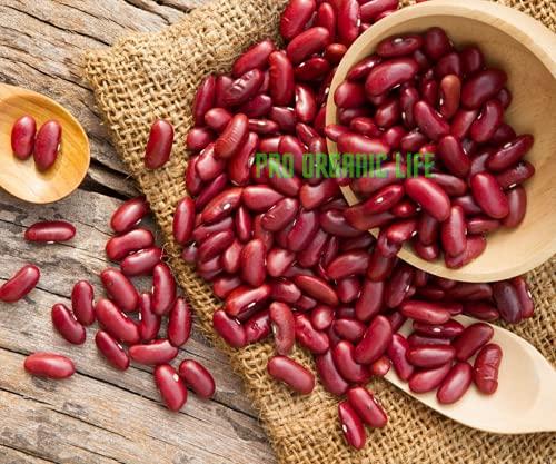 PRO ORGANIC LIFE Pro Organic Life lal rajma, red lobia beans, red rajma organic rajma fresh, small rajma 1.800 kg