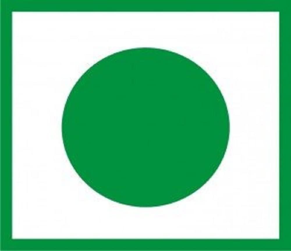 ALO FRUT Alo Frut Berries Aloevera Chunks & Juice 200ml(Pack of 48) - 1 Case | Fruit Juice Mai Aloevera Chunks | Healthy Hai Isme Aloevera Hai | Ready To Serve Drink