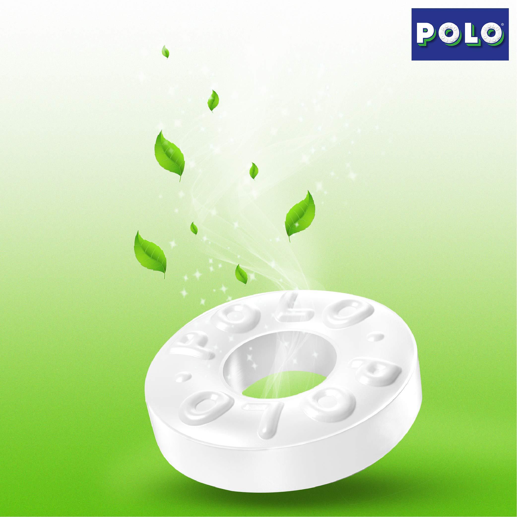 US Polo Association US Polo Association Polo The Mint with The Hole, 582g - 97 Count