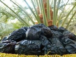 IMPERIAL Imperial Ajwa Al Madina | Best Ajwa Al-Saudi Dates | Original Ajwa Dates | Ajwa khajoor | Original Ajwa | Black Dates | Khajoor/Khajur 500g (Pack of 1)