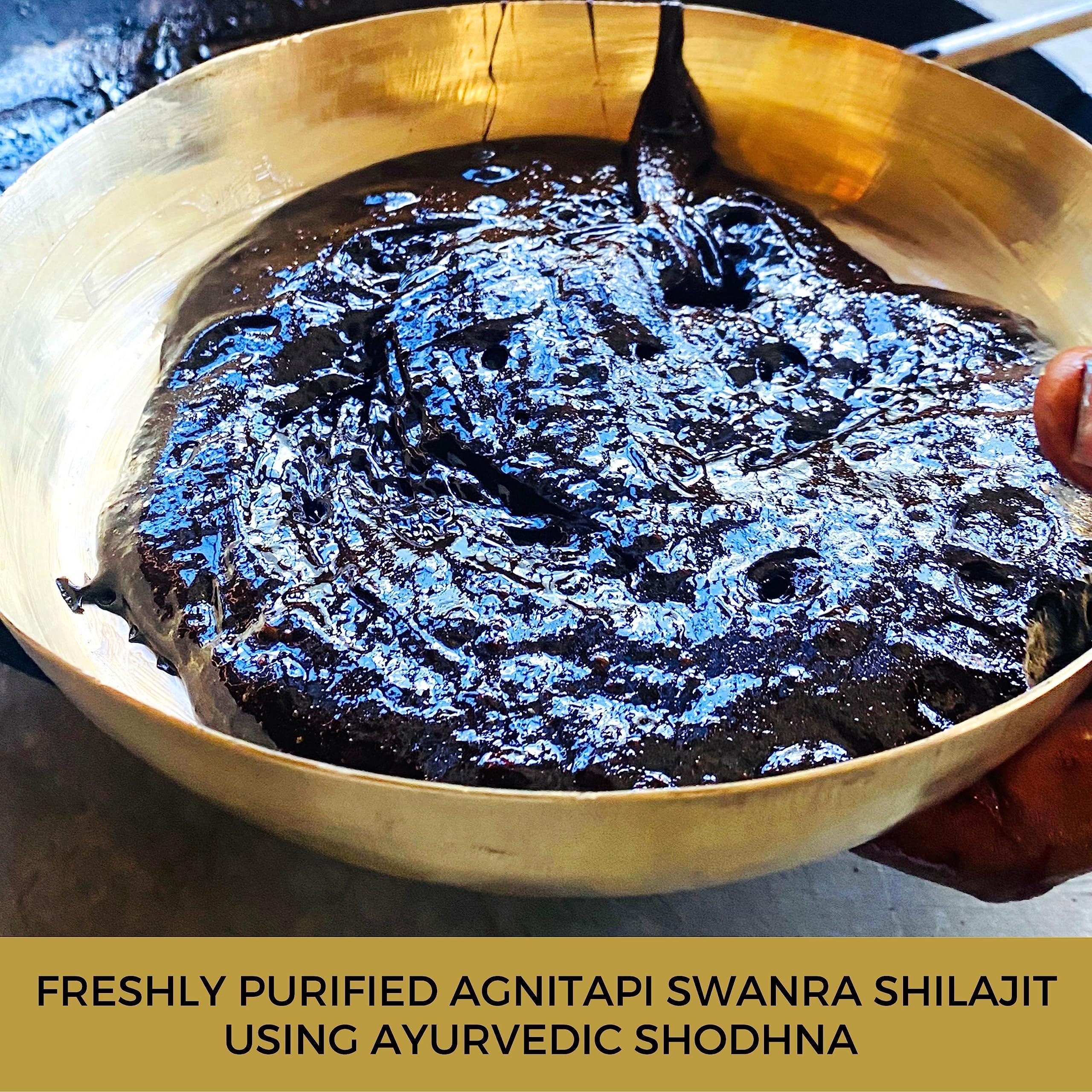 Pahadi Amrut Pahadi Amrut Shilajit | 100% Natural Himalayan Shilajit I Pure Shiliajit 10G Paste