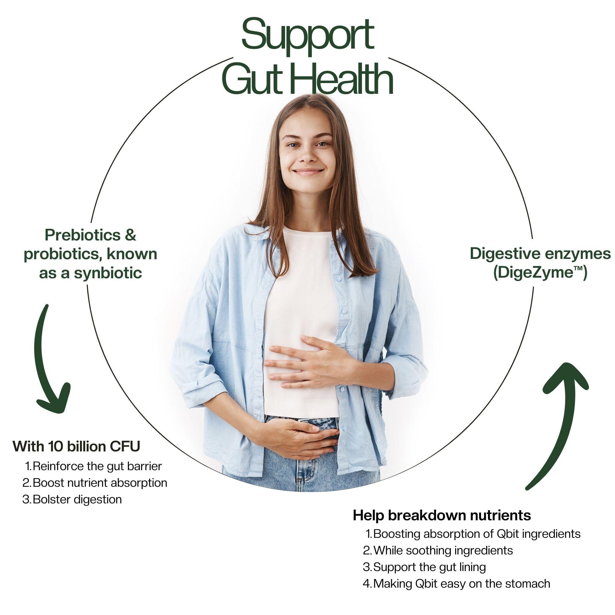 QBIT Qbit Gut Health Supplements Drink | Prebiotics | Probiotics | Plant Based | Daily Nutrition for Women and Men | Support Gut Health, Constipation, Digestion, Immunity | No Preservatives, No Color, Zero Sugar (15 Days Servings Sachets)