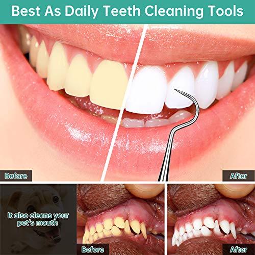 POLKASTORE POLKASTORE Professional Dental Medical Stainless Steel, Pick Scraper Tool 3-Pack