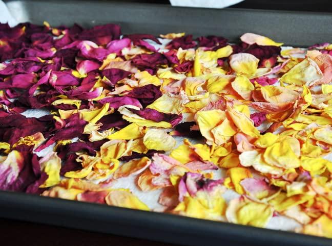 fragrant petals Sun Dried Fragrant Rose Petals for Craft and Sachets
