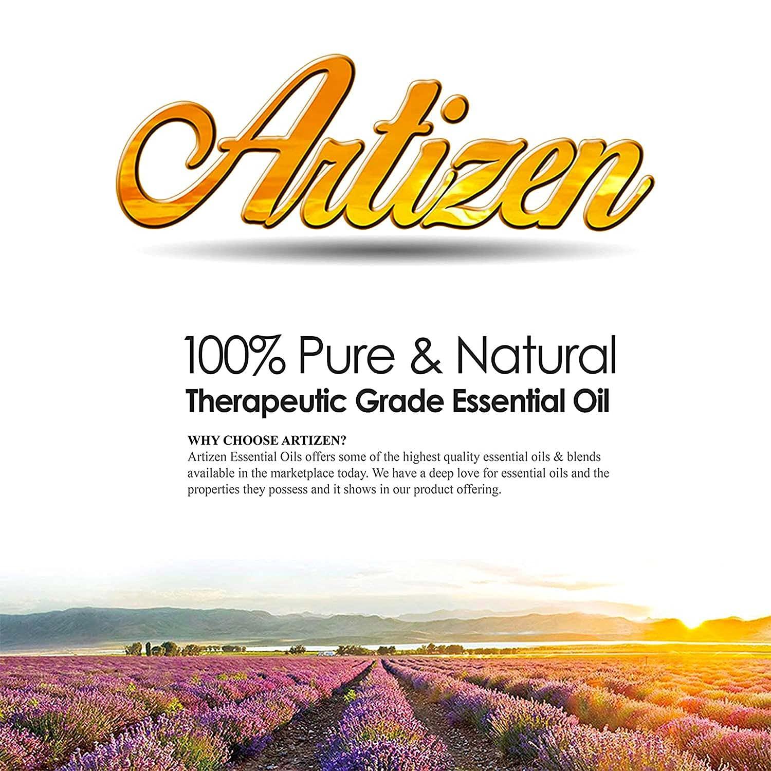 Artizen Artizen Nutmeg Essential Oil (100% PURE & NATURAL - UNDILUTED) Therapeutic Grade - Huge 1oz Bottle - Perfect for Aromatherapy, Relaxation, Skin Therapy & More!