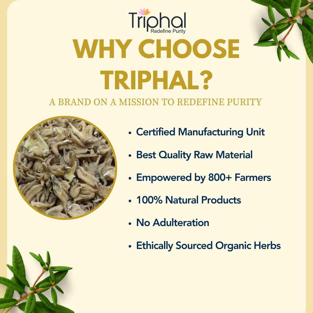 Triphal TRIPHAL Salab Panja/Salam Panja/Marsh Orchid | Original Herb | Fresh Pack (10g)