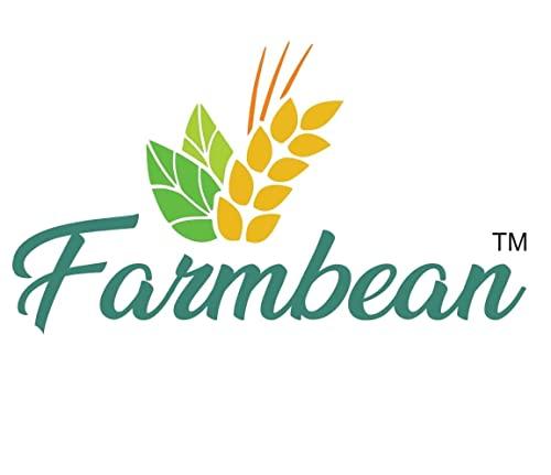 Farmbean Farmbean Palm Sugar | Organic Palmyra Palm Sugar | Natural Sweetener Sugar Alternative Organic | Non GMO - 300 Gms