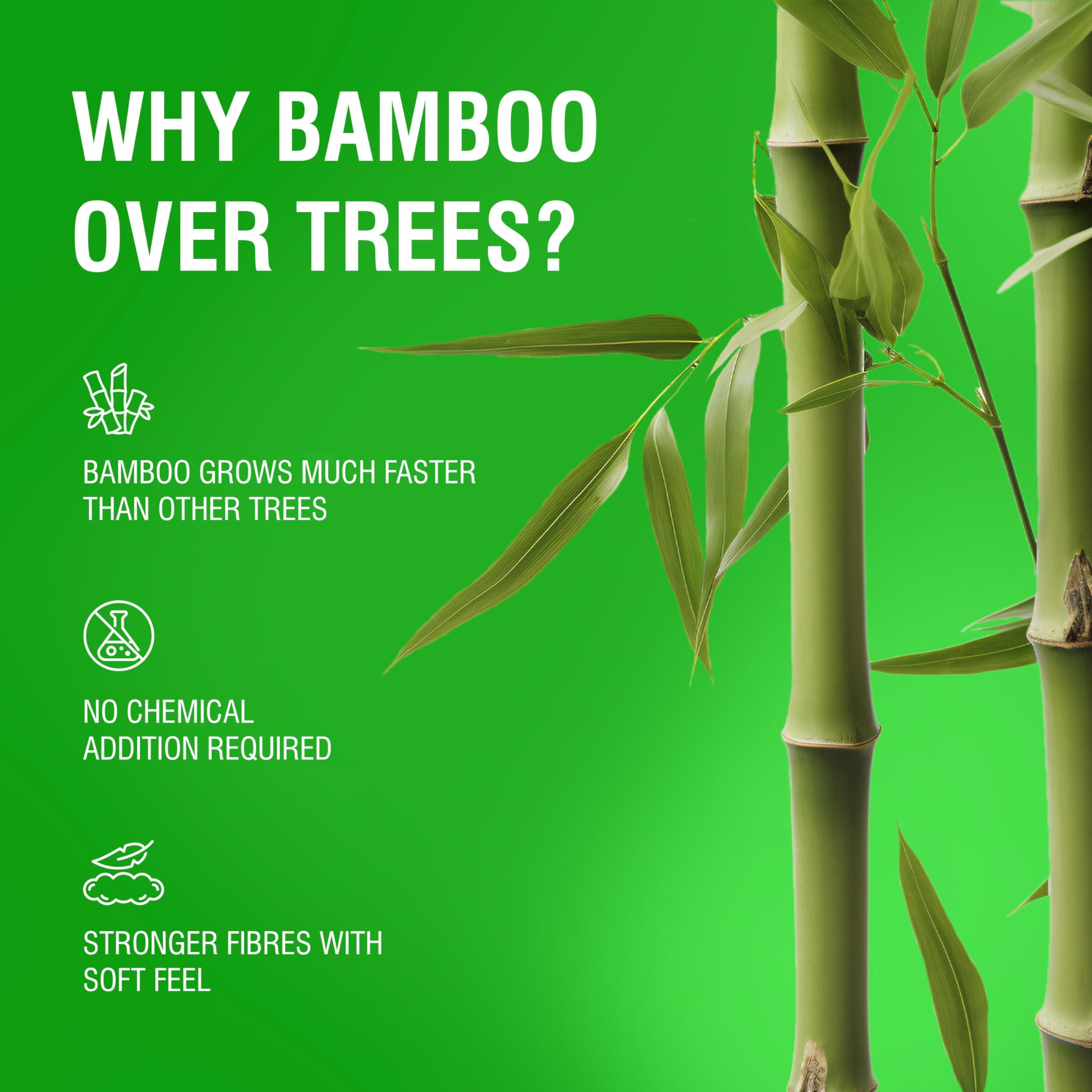 Beco Beco Bamboo Super Soft 2-ply Car Tissue Box| Facial Tissue-100 pulls x 3 Packs (300 Pulls) | 100% Natural & Ecofriendly