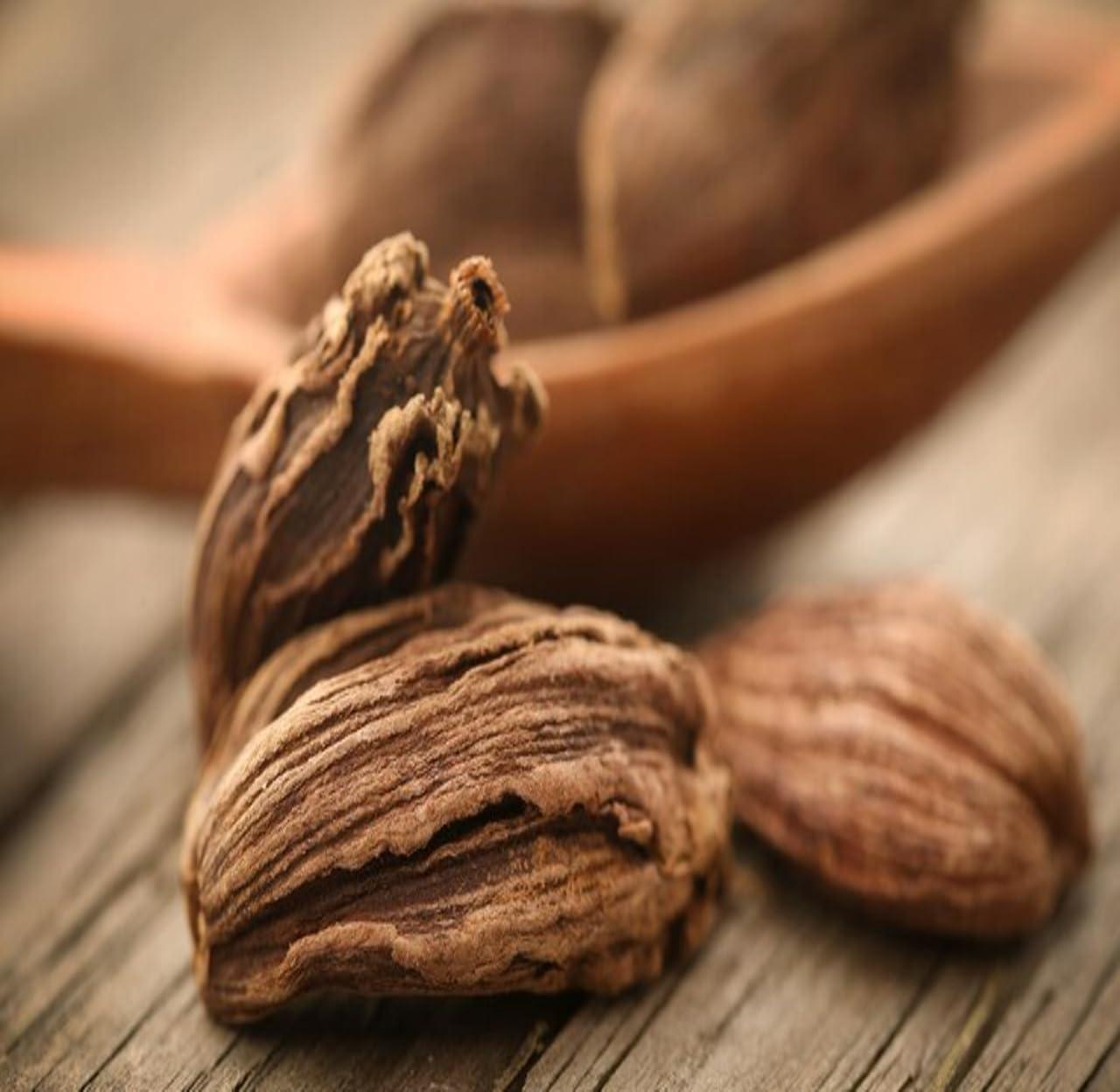 MEENAKSHI SPICES - ORGANIC & PURITY OF NATURE Meenakshi Spices - Whole Black Cardamom | Sabut Badi Elaichi | 20g