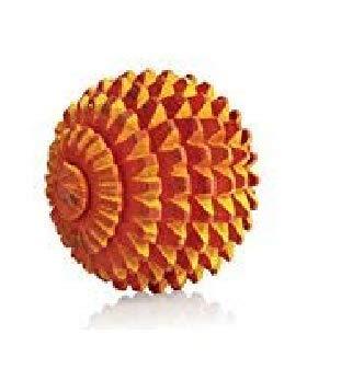 ACS ACS Acupressure Massage Equipments Combo Kit