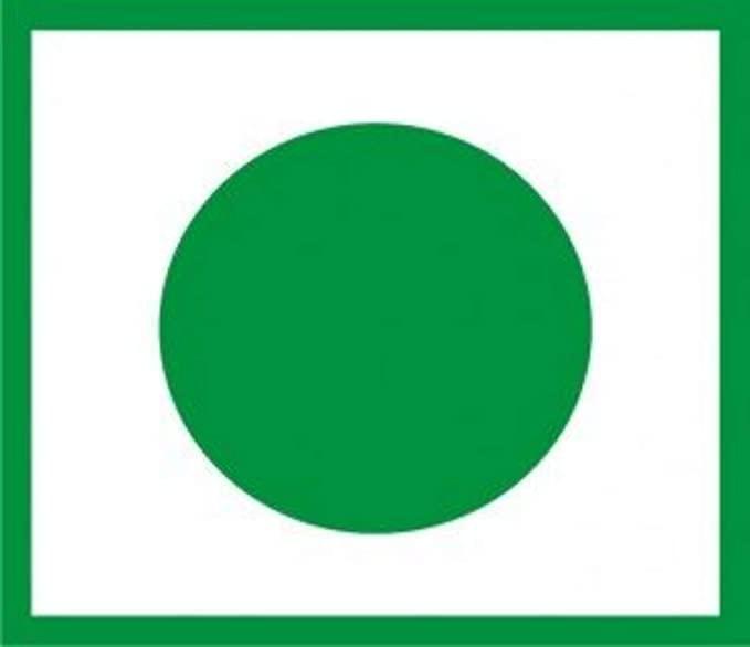 AAYU ENTERPRISES AAYU Super Berry Plus Juice | Herbal supplement | Immunity Booster | Berry Juice