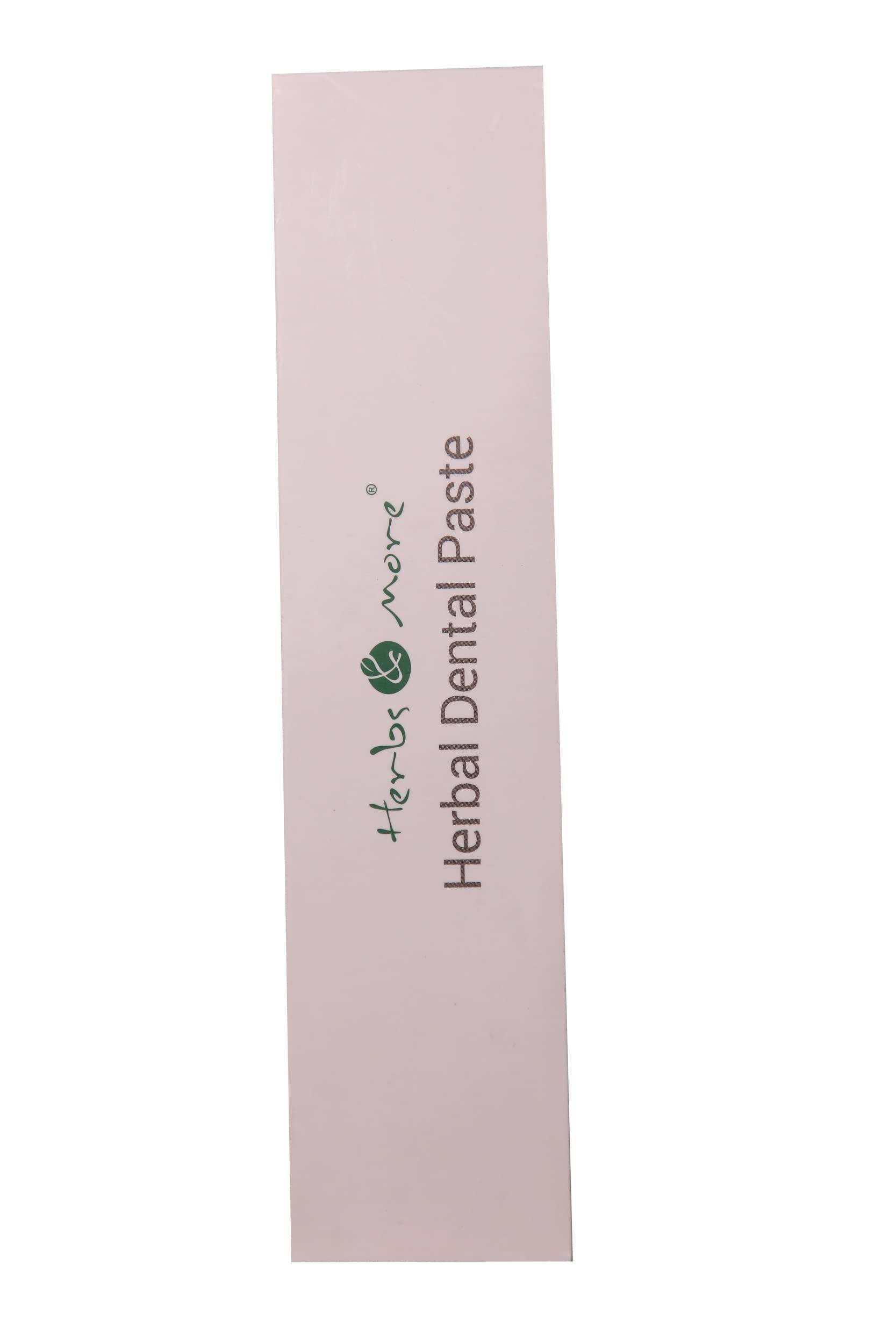 Netsurf Herbs & More Herbal Dental Paste 125g (Pack Of 3)