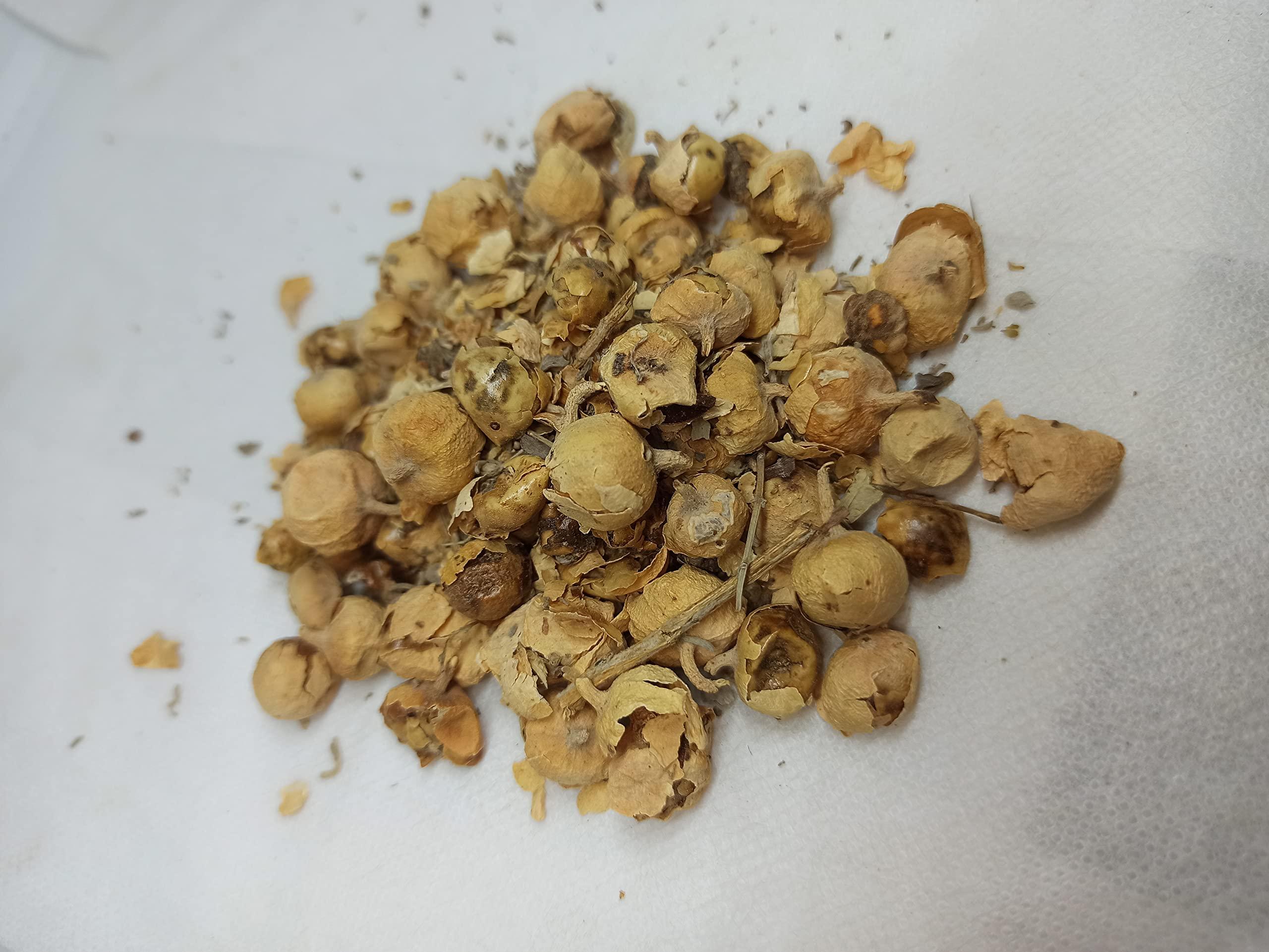 NATURALIFE NATURALIFE\'S-*PANNIR POO*-Indian Rennet Flower Dried I Withania coagulans Dunal I Paneer Poo/ I Paneer Phool/Paneer Doda I Panneru-gadda (250 GRAMS)