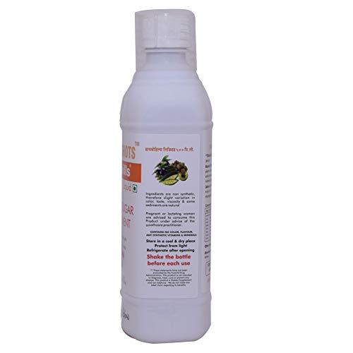 HERBAL HILLS Herbal Hills Diabohills Syrup with Karela Jamun 500ml Shots (500 ml (Pack of 4))