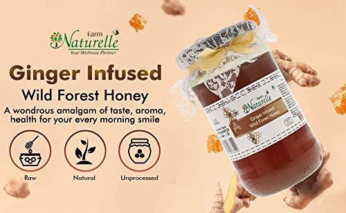 Farm Naturelle Farm Naturelle - Healthy Ginger Infused Honey 2.75kg |100% Pure Honey| Raw & Unfiltered|Unprocessed|Lab Tested Honey In Pet Bottle