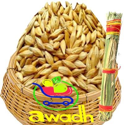 Awadh Awadh- Barley Seeds 900g with Dry Khush Grass |Sabut Jau | Puja Jau | Havan Jao | Pooja Jao | Sabut Jau | Jau for Kalash | barli | Barliarisi | Valkothumai |Jave | Godhi Jaun Jab Juvar Cheno Satu