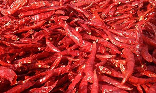 Nature Connect Nature Connect Mathania Red Chilli (Lal Mirch) (Stemless) - 2 Kg.