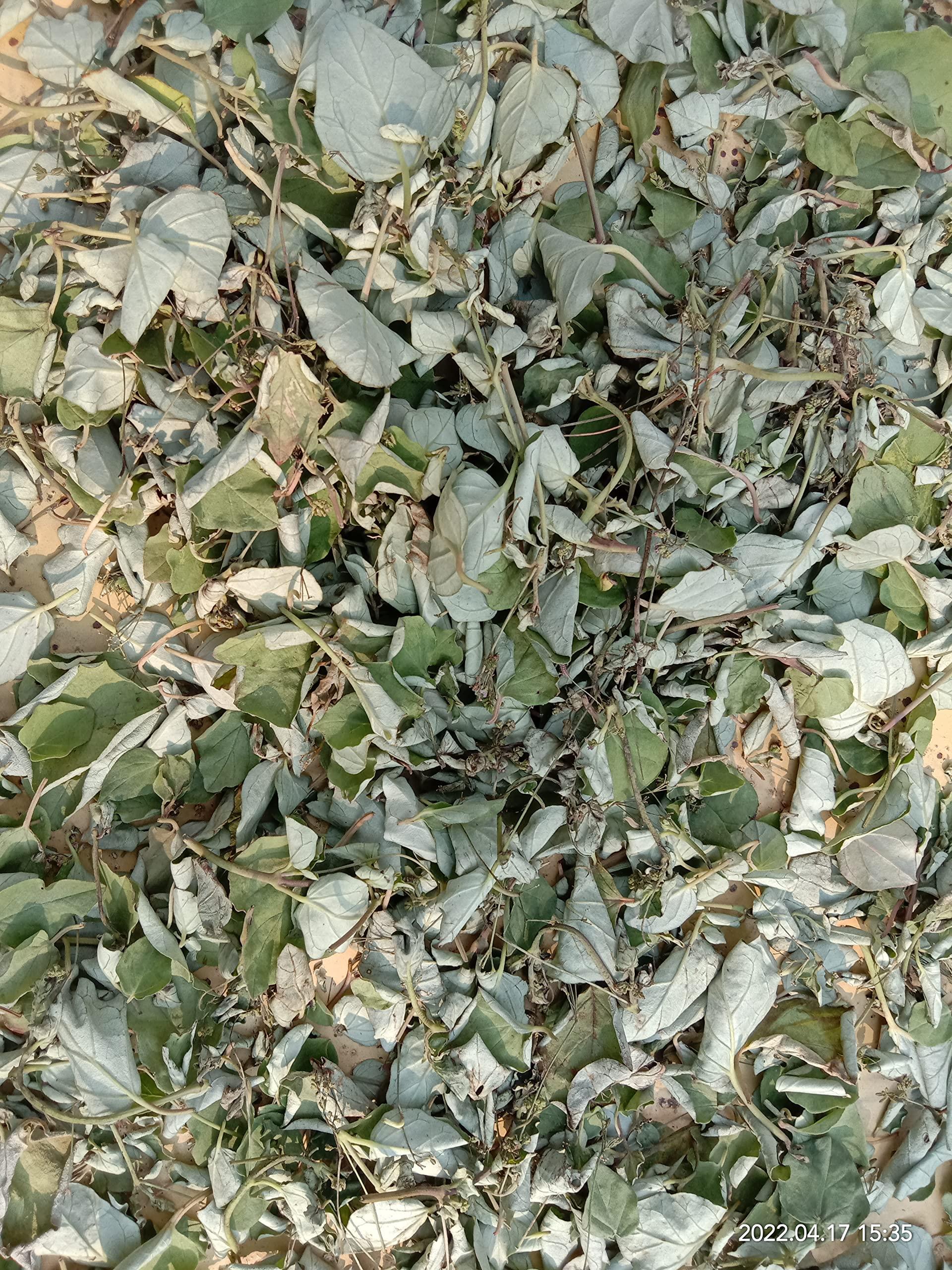 Generic Mookirattai dry leaves 50g | Punarnava dry leaves| Boerhavia diffusa | Saranai Keerai dry leaf