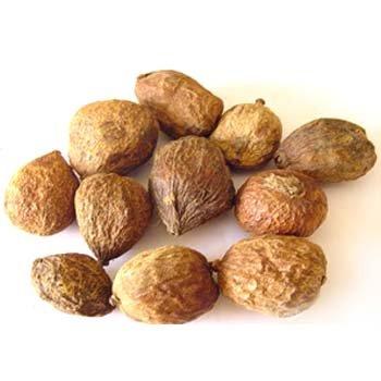 NatureHerbs Maindh Phal / Main Phal / Randia Dumetorum Mindol -200 Gm