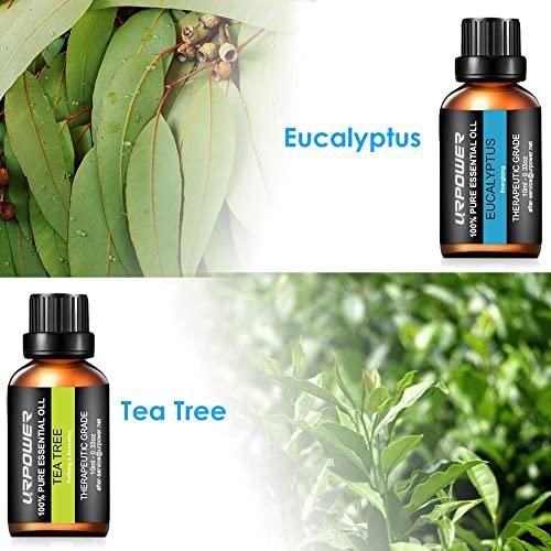 URPOWER URbeauty Essential Oils, Upgrated 6 Aromatherapy Essential Oil Diffuser Essential Oils 100% Pure Lavender, Peppermint, Sweet Orange, Eucalyptus, Tea Tree, Lemongrass Essential Oil Gift Set 10ml/each