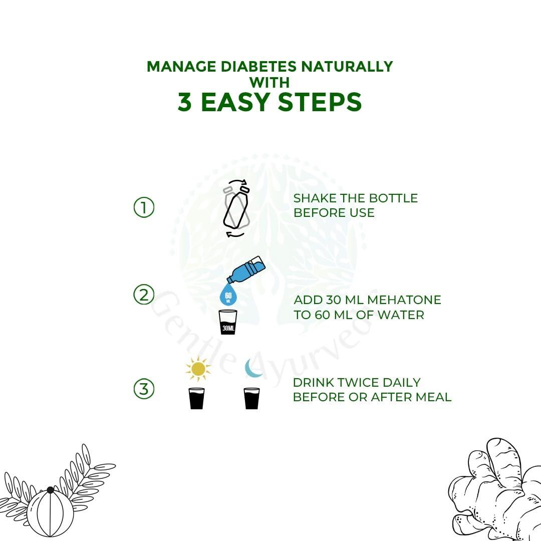 Gentle Ayurvedic Gentle Ayurvedic Meha Tone Value Pack, 900ml (450ml x 2 Bottles), Amla, Guduchi, Turmeric and Jamun, Improves Digestion