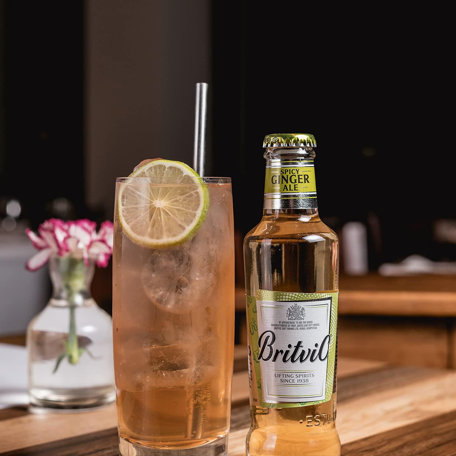 Britvic Britvic Ginger Ale, 200 ml