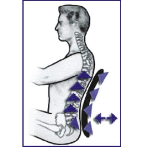 Oshotto Oshotto Debonair Orthopaedic Back Rest Office/Home Chair Lumbar Support Cushion Compatible with Tata Tigor (Black)