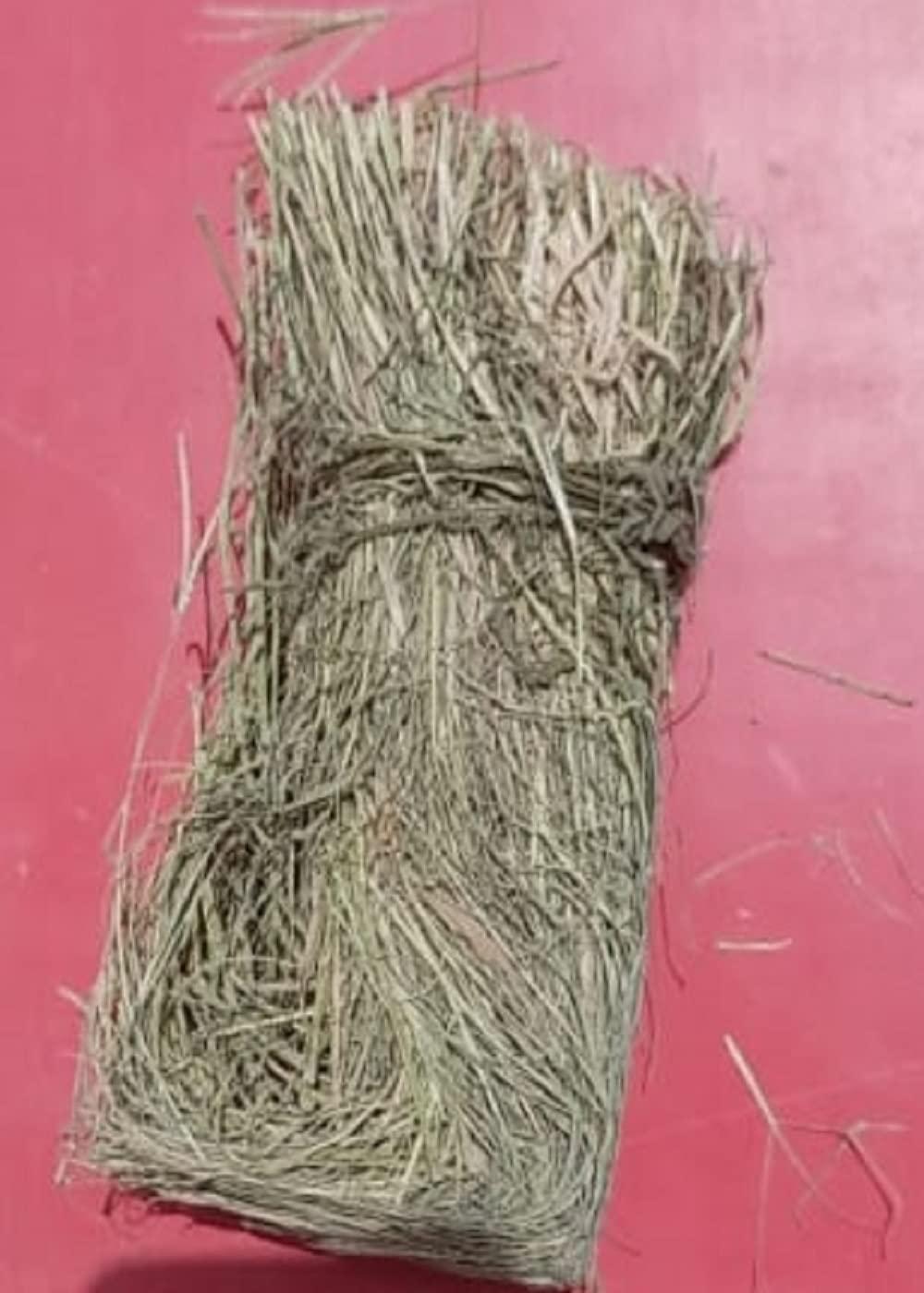 indianvedic Dried Dry Doob Ghaas Durva Grass Bahama Ghas Indian Couch Arugampul | Cynodon dactylon 250gm