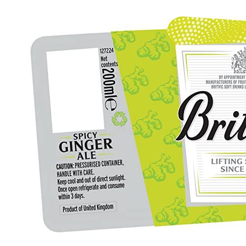 Britvic Britvic Ginger Ale, 200 ml
