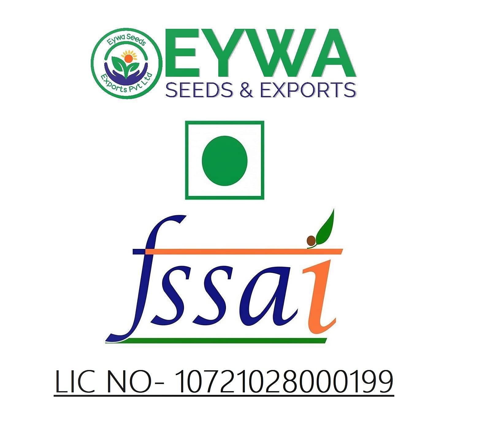 Dr.Harmann's Dr.Harmann's Rectangular Reading Glasses (Blue) (CEO +2.75)