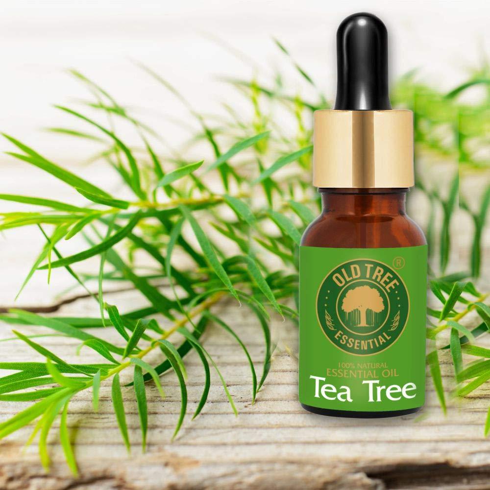 Old Tree Old Tree Pure & Natural Tea Tree Essential Oil (15ml) - for Skin, Diffusers, Hair, Body, Acne, Nail care - Undiluted Essential Oil with Dropper for Aroma Therapy and Stress Relief