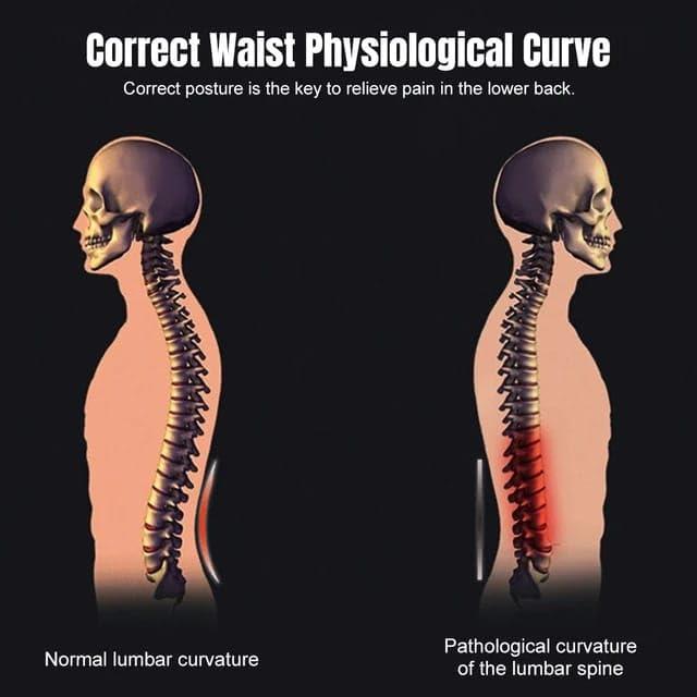 FRILL Back Pain Relief Product Back Stretcher Spinal Curve Back Relaxation Device Massager Bed Chair Full Set